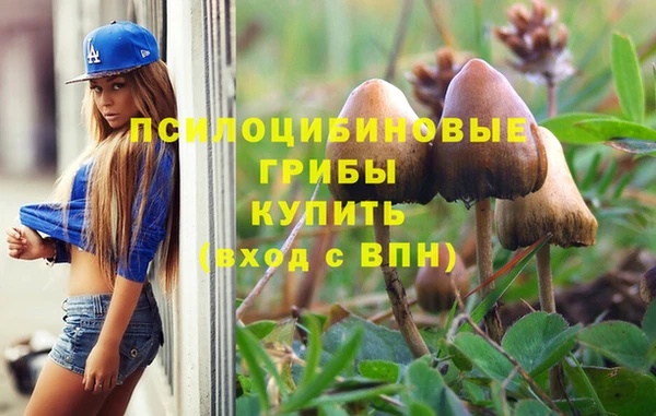 МДПВ Майский