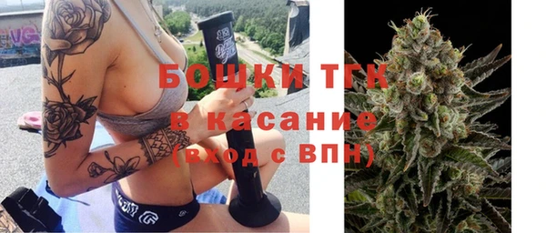 ешки Медногорск