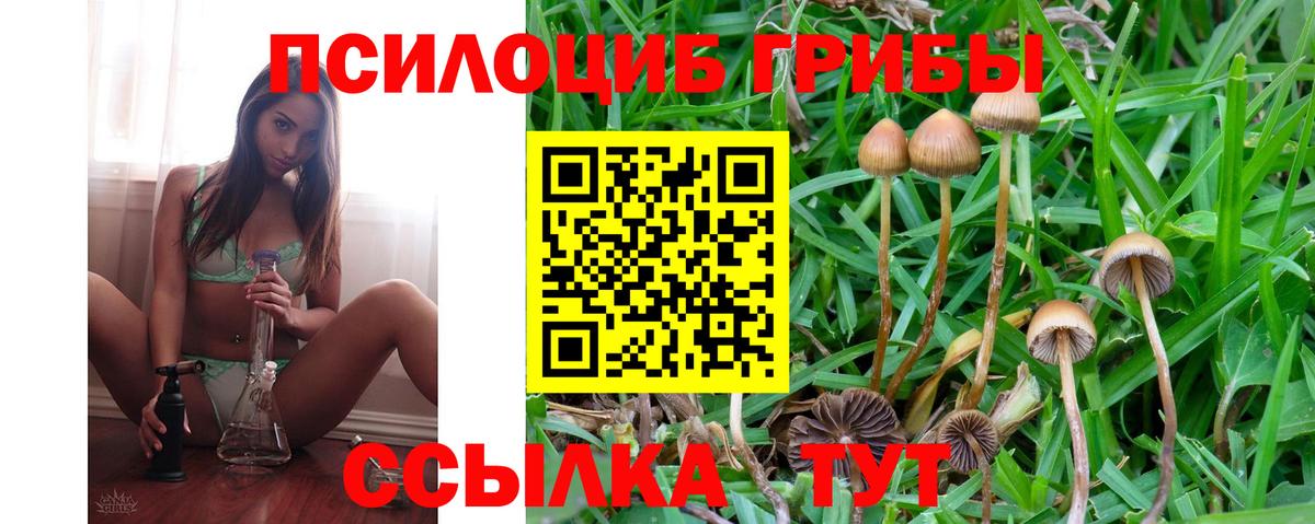 Галлюциногенные грибы MAGIC MUSHROOMS  Вход с VPN  Темрюк  Псилоцибиновые грибы Psilocybine cubensis 