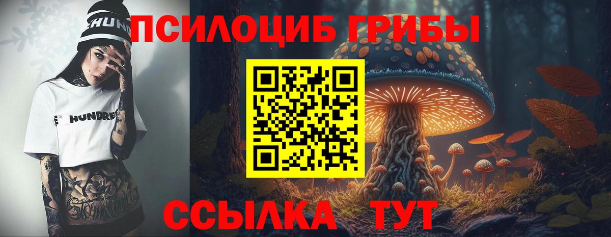 Галлюциногенные грибы Cubensis  Темрюк 