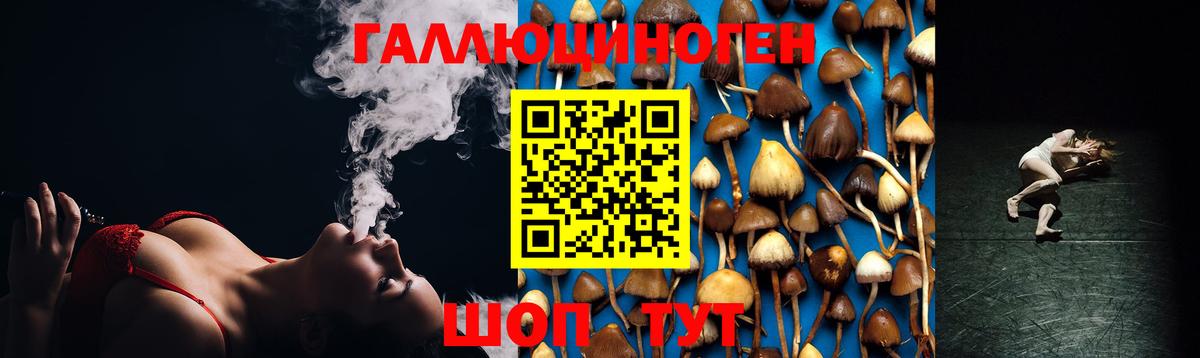 Псилоцибиновые грибы MAGIC MUSHROOMS Темрюк